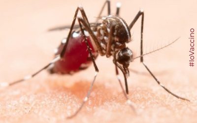 Vaccino contro la Malaria